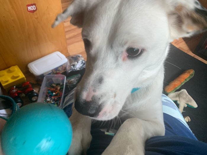 My Coworker Doesn’t Care If I Am Trying To Teach My Students Or That A Zoom Is In Progress