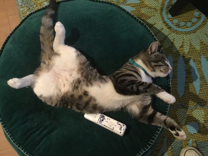 My Coworker Won’t Stop Man Spreading