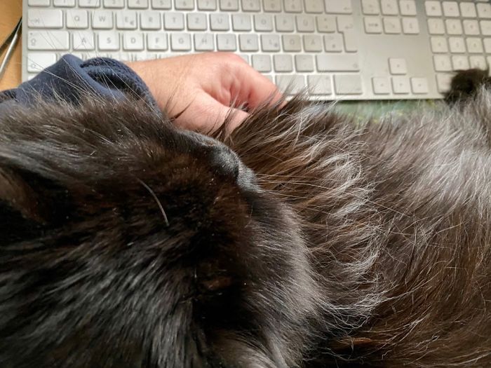 Why Did I Learn To Type With 10 Fingers? In The Home Office I Can Only Use 5 !