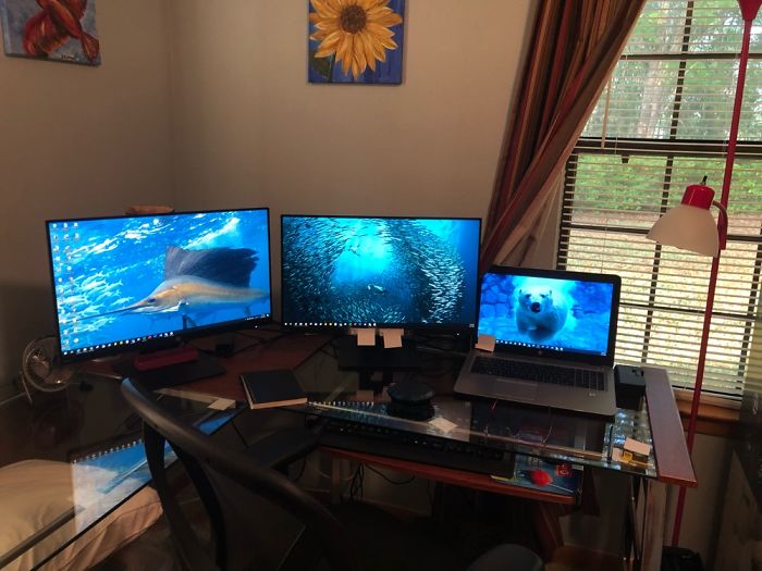 Liking My Home Office!