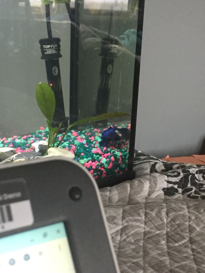 Bubbles Is Making Sure Everything Is Completed.