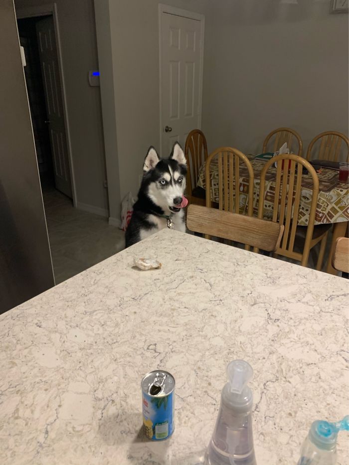 Busy Day Of Homeschool. Time For Lunch