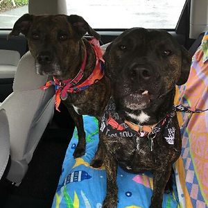 michaelprobelski90 avatar