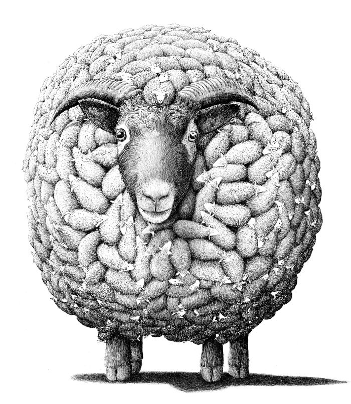 The Way My Mind Works