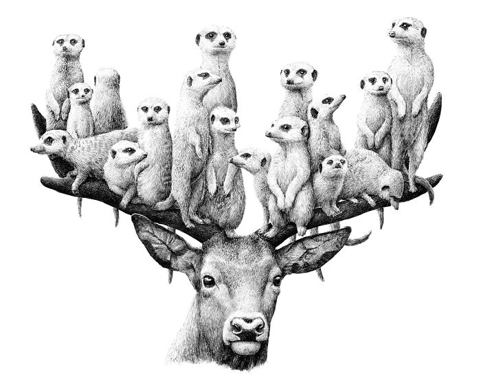 The Way My Mind Works