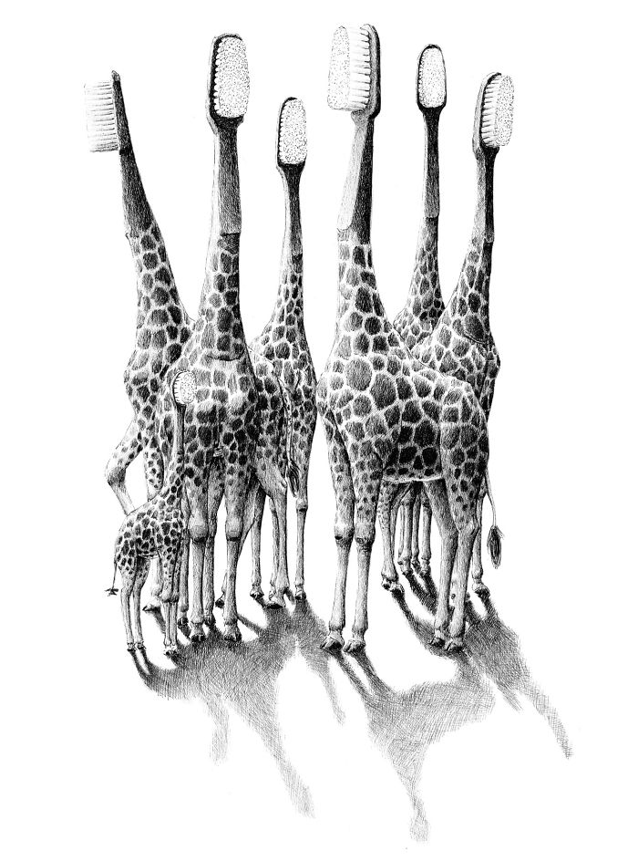 The Way My Mind Works