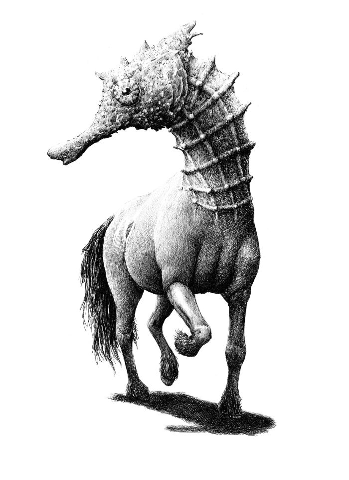 The Way My Mind Works