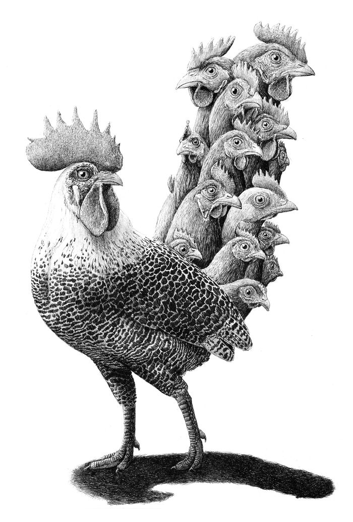 The Way My Mind Works