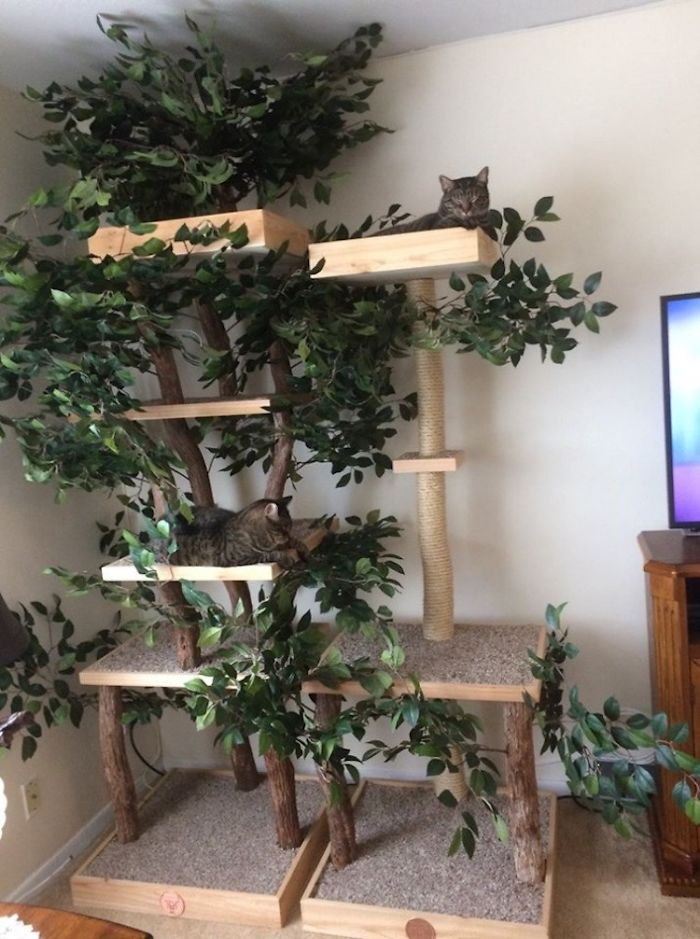 Indoor Cat Towers That Look Like Real Trees Are A Thing And They're Absolutely Beautiful Indoor Cat Towers That Look Like Real Trees Are A Thing And They're Absolutely Beautiful