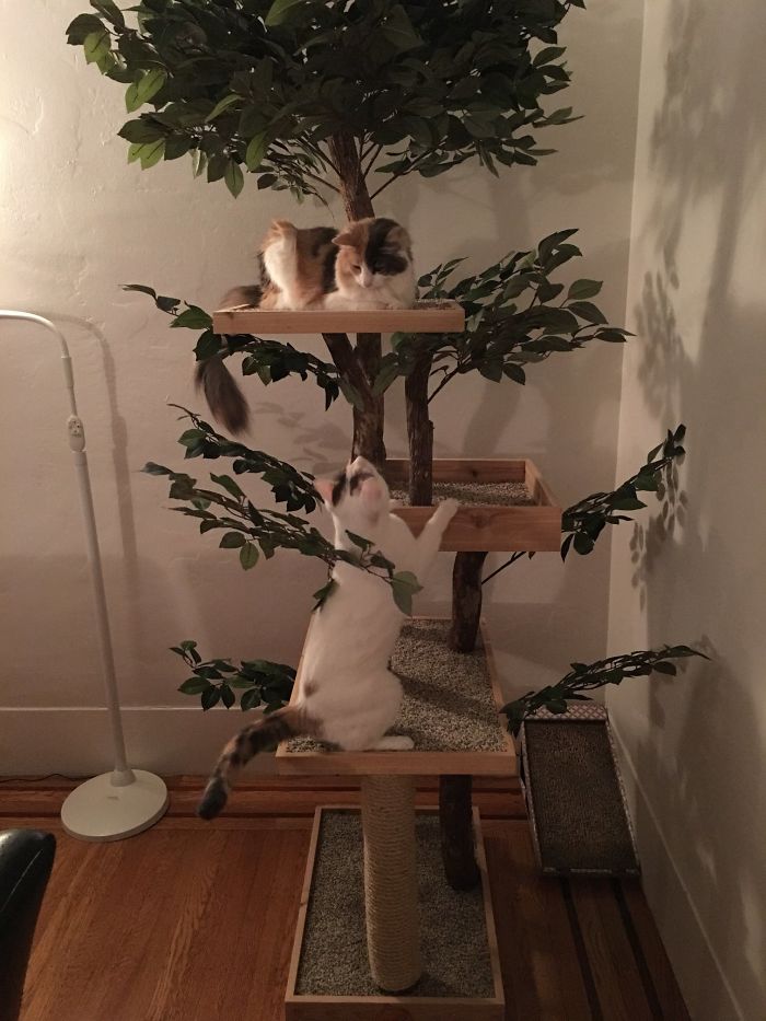 Indoor Cat Towers That Look Like Real Trees Are A Thing And They're Absolutely Beautiful Indoor Cat Towers That Look Like Real Trees Are A Thing And They're Absolutely Beautiful