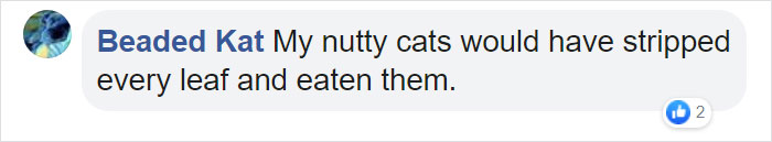 Indoor Cat Towers That Look Like Real Trees Are A Thing And They're Absolutely Beautiful