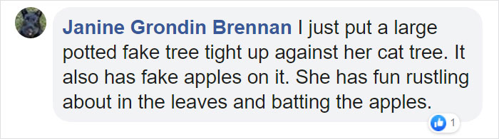 Indoor Cat Towers That Look Like Real Trees Are A Thing And They're Absolutely Beautiful