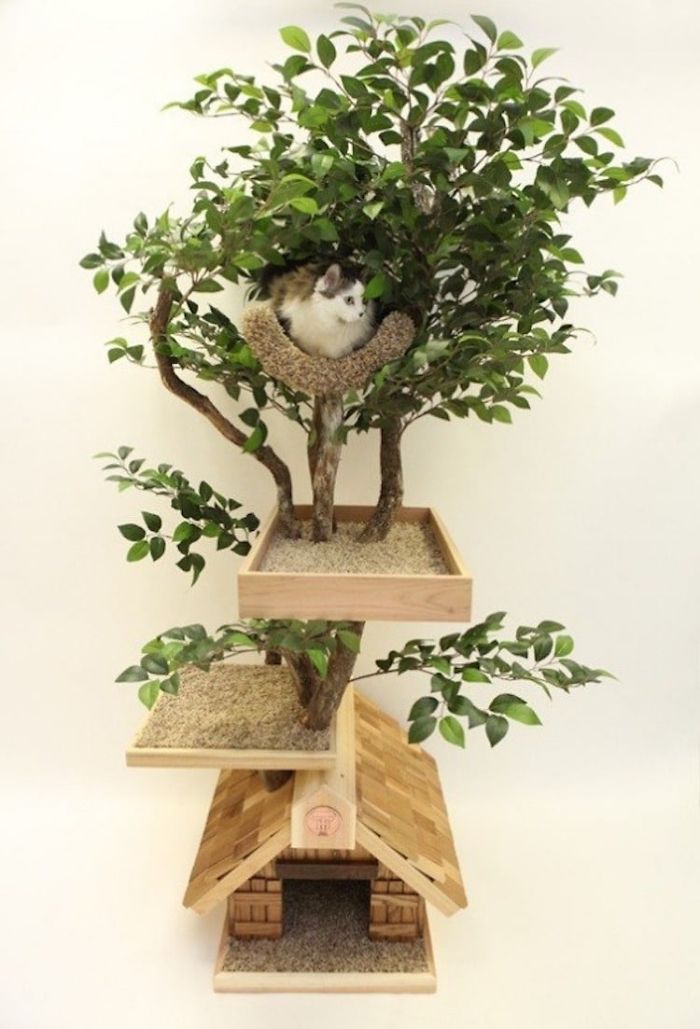 Indoor Cat Towers That Look Like Real Trees Are A Thing And They're Absolutely Beautiful Indoor Cat Towers That Look Like Real Trees Are A Thing And They're Absolutely Beautiful