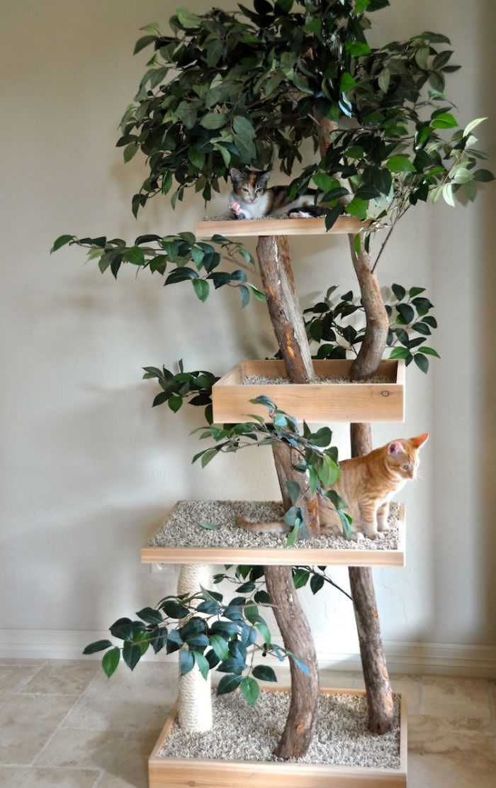 Indoor Cat Towers That Look Like Real Trees Are A Thing And They're Absolutely Beautiful Indoor Cat Towers That Look Like Real Trees Are A Thing And They're Absolutely Beautiful