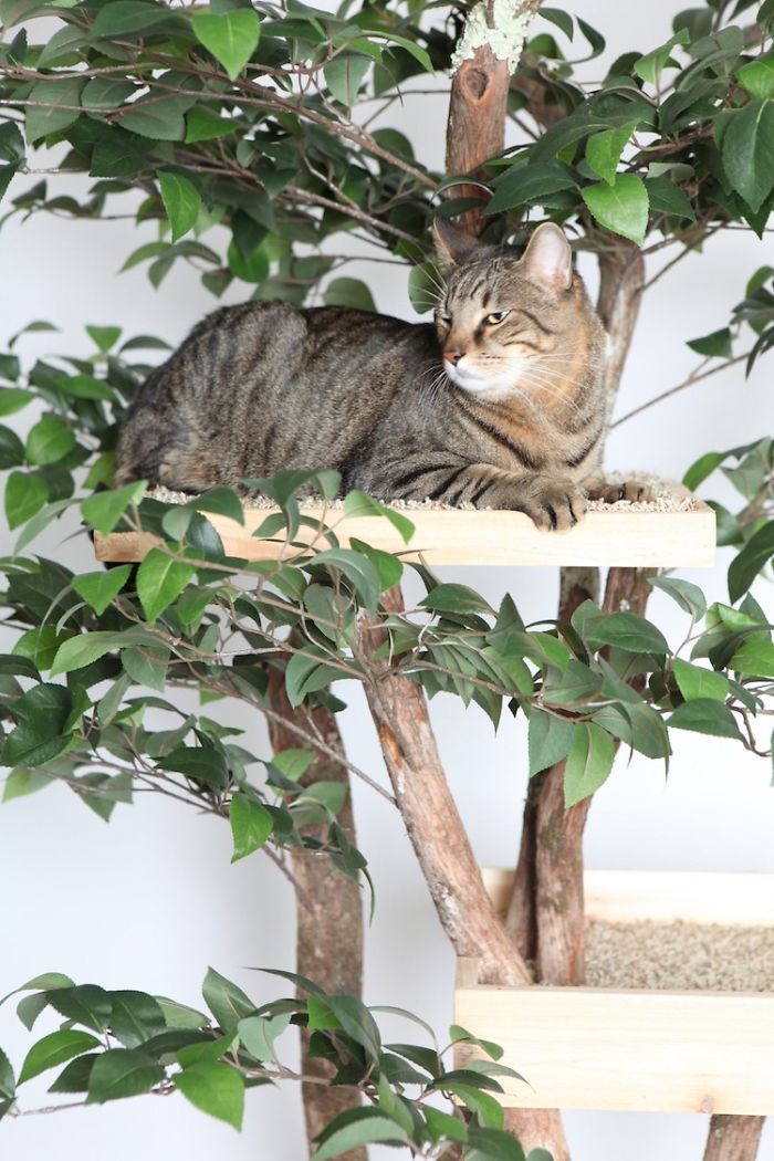 Indoor Cat Towers That Look Like Real Trees Are A Thing And They're Absolutely Beautiful