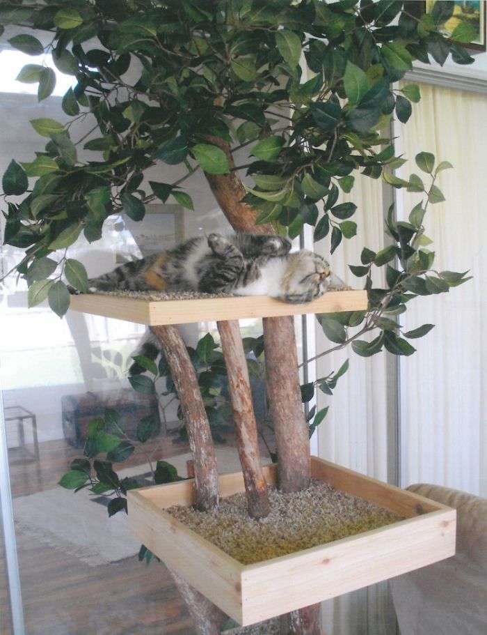 Indoor Cat Towers That Look Like Real Trees Are A Thing And They're Absolutely Beautiful