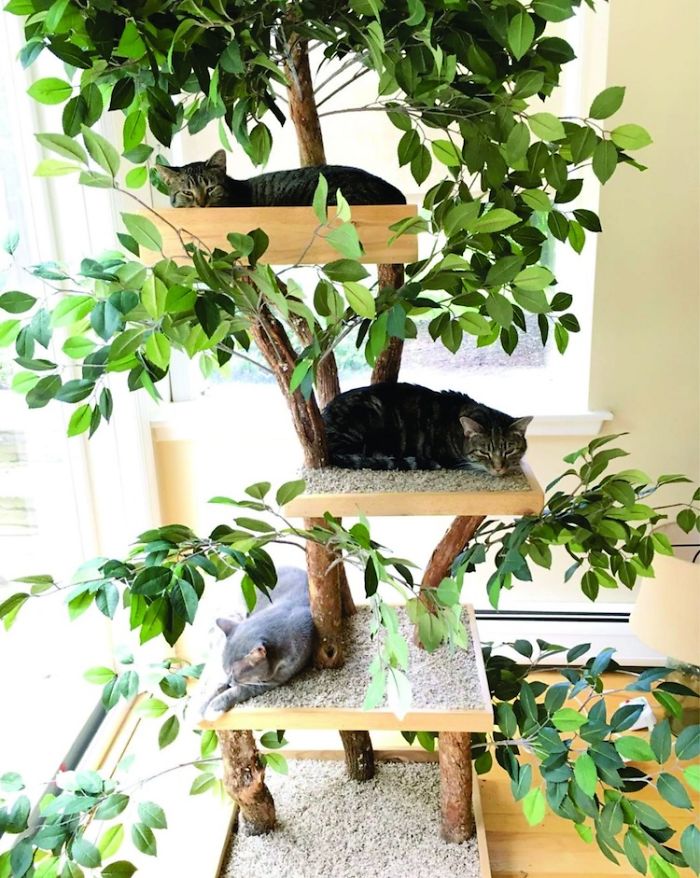 Indoor Cat Towers That Look Like Real Trees Are A Thing And They're Absolutely Beautiful