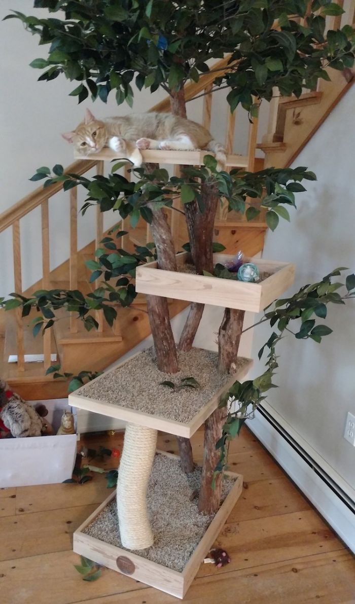 Indoor Cat Towers That Look Like Real Trees Are A Thing And They're Absolutely Beautiful