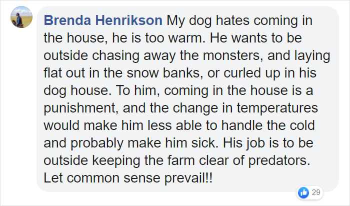 Cruel Owners That Leave Their Dogs In The Snow Can Now Get Jailed Over It Cruel Owners That Leave Their Dogs In The Snow Can Now Get Jailed Over It