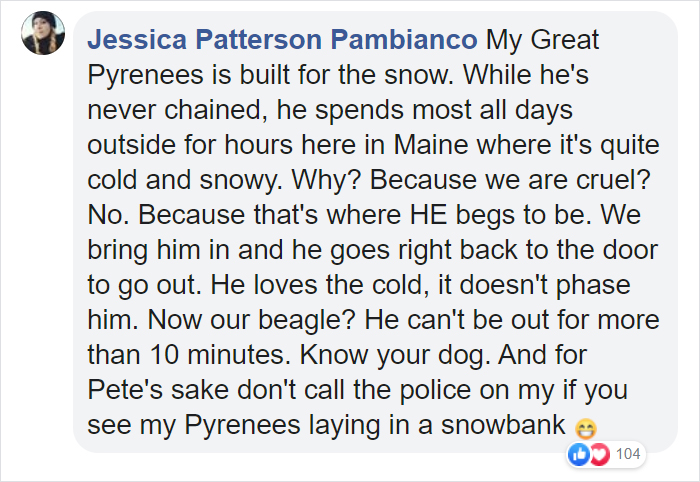 Cruel Owners That Leave Their Dogs In The Snow Can Now Get Jailed Over It Cruel Owners That Leave Their Dogs In The Snow Can Now Get Jailed Over It