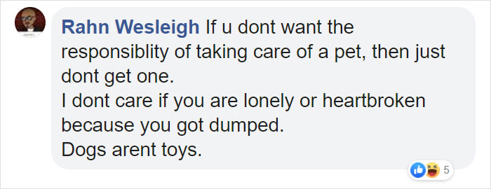 Cruel Owners That Leave Their Dogs In The Snow Can Now Get Jailed Over It