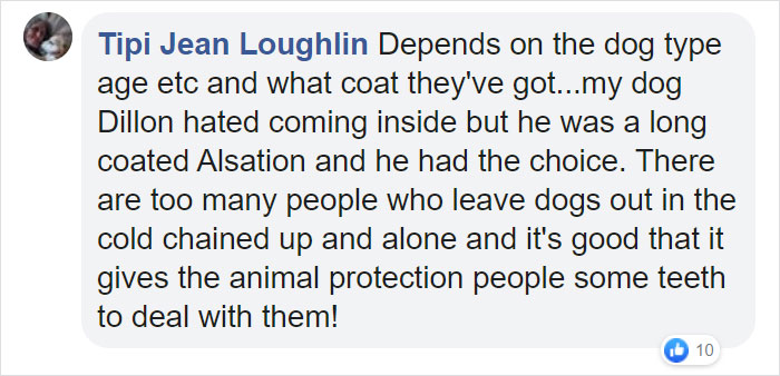 Cruel Owners That Leave Their Dogs In The Snow Can Now Get Jailed Over It