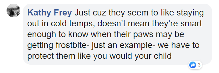 Cruel Owners That Leave Their Dogs In The Snow Can Now Get Jailed Over It Cruel Owners That Leave Their Dogs In The Snow Can Now Get Jailed Over It