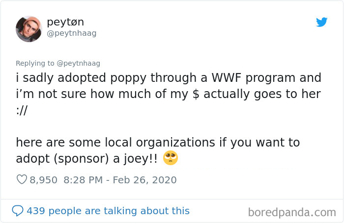 Man Gets Drunk On New Year's Eve And Adopts A Baby Kangaroo, Realizes It Months Later Man Gets Drunk On New Year's Eve And Adopts A Baby Kangaroo, Realizes It Months Later