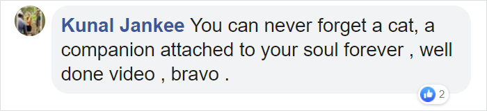 Man Opens A 120 Y.O. Time Capsule To Find Undeveloped Cat Pics, Decides To Develop Them