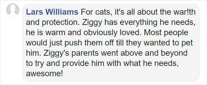 Couple Trick Their Super Clingy Cat By Creating A Fake Lap For Her To Sit On And She Loves It