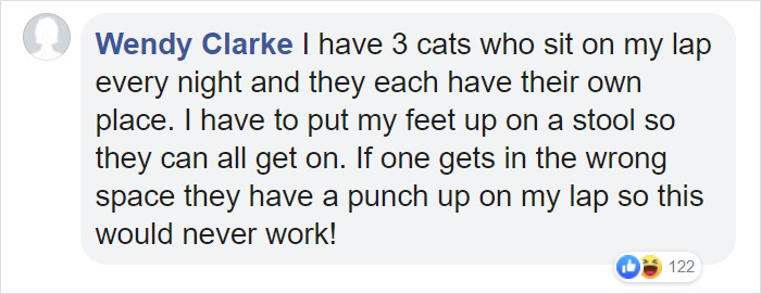 Couple Trick Their Super Clingy Cat By Creating A Fake Lap For Her To Sit On And She Loves It