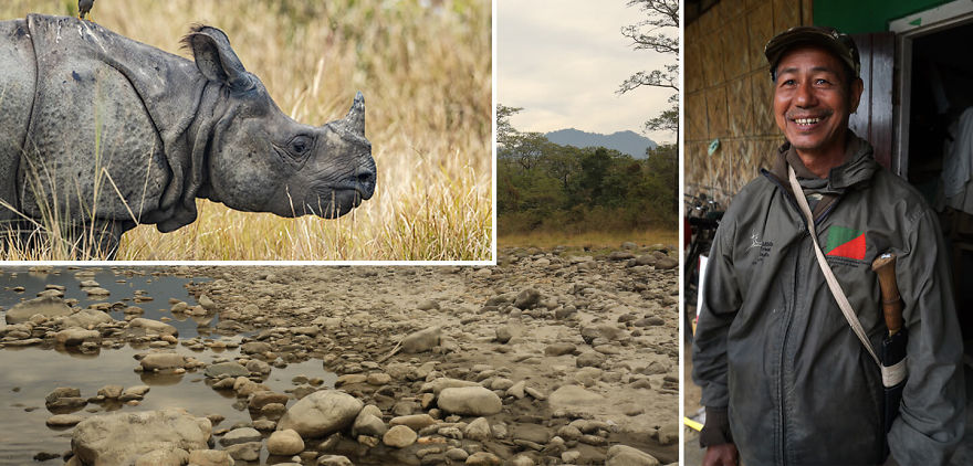 Manas National Park: More Than Just Another Wildlife Sanctuary In India