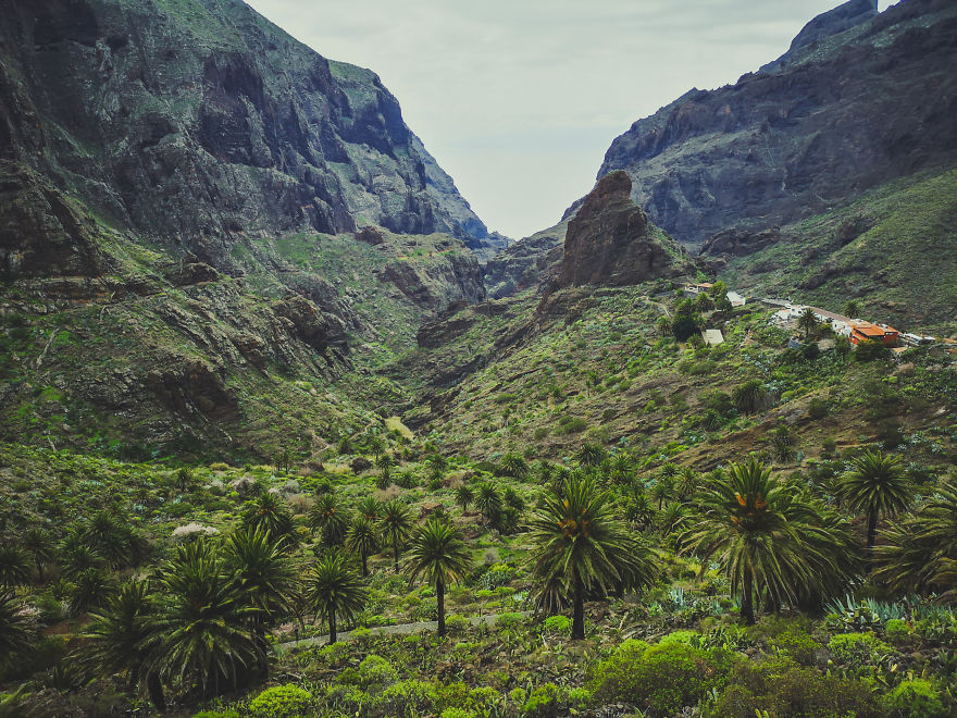 8 Photos Proving The Rich Variety Of Tenerife 8 Photos Proving The Rich Variety Of Tenerife
