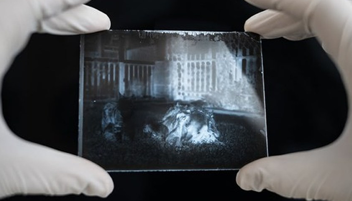 Man Opens A 120 Y.O. Time Capsule To Find Undeveloped Cat Pics, Decides To Develop Them