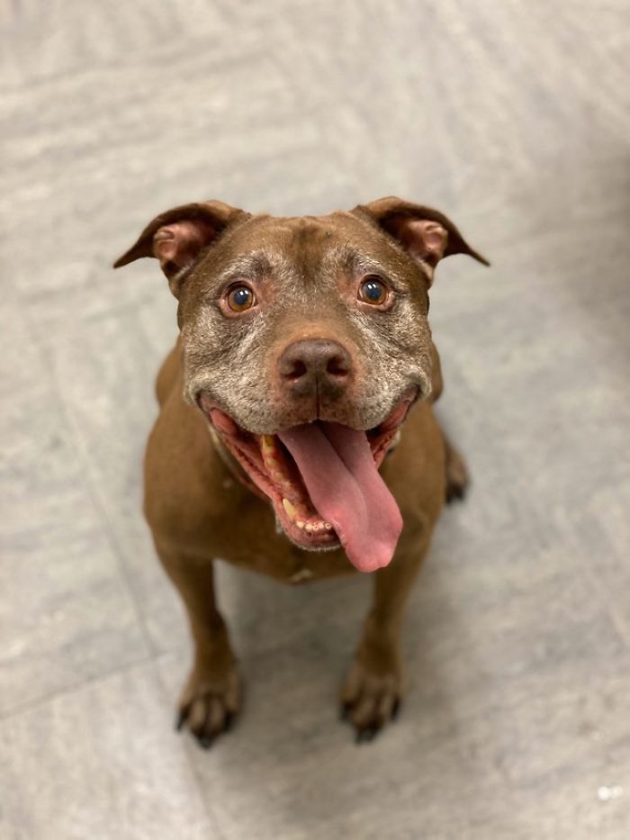 Saying Goodbye To Our Family Member