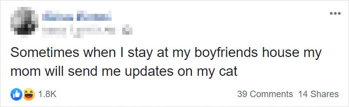 Daughter Shares Hilarious Cat Updates She Receives From Her Mom While She Stays Over At Her BF's House