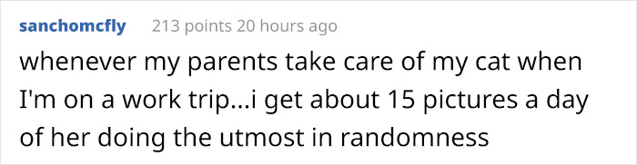 Daughter Shares Hilarious Cat Updates She Receives From Her Mom While She Stays Over At Her BF's House