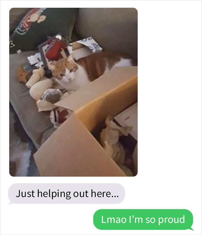 Daughter Shares Hilarious Cat Updates She Receives From Her Mom While She Stays Over At Her BF's House