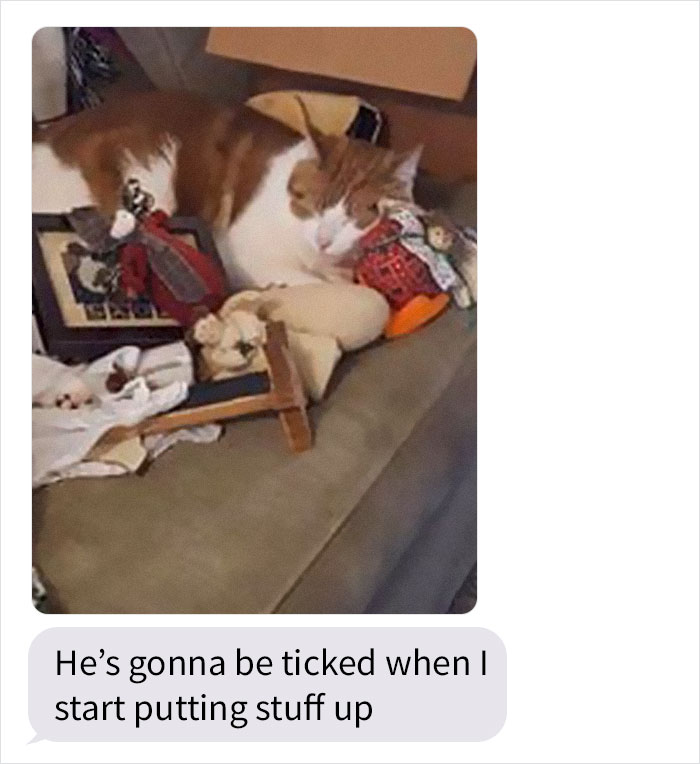 Daughter Shares Hilarious Cat Updates She Receives From Her Mom While She Stays Over At Her BF's House