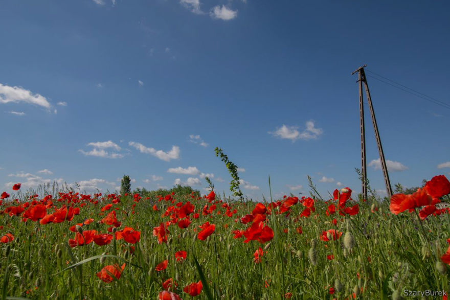 Story Of A Small House Story Of A Small House
