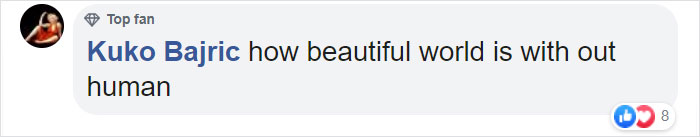 Orangutans Befriend Otters That Often Swim Through Their Enclosure At The Zoo Forming 'A Very Special Bond' Orangutans Befriend Otters That Often Swim Through Their Enclosure At The Zoo Forming 'A Very Special Bond'