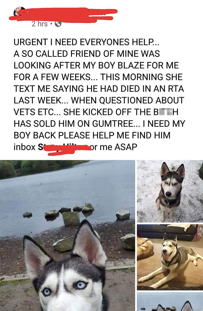 Absolute Jerk Sells Her Friend's Dog. Who Would Do That?