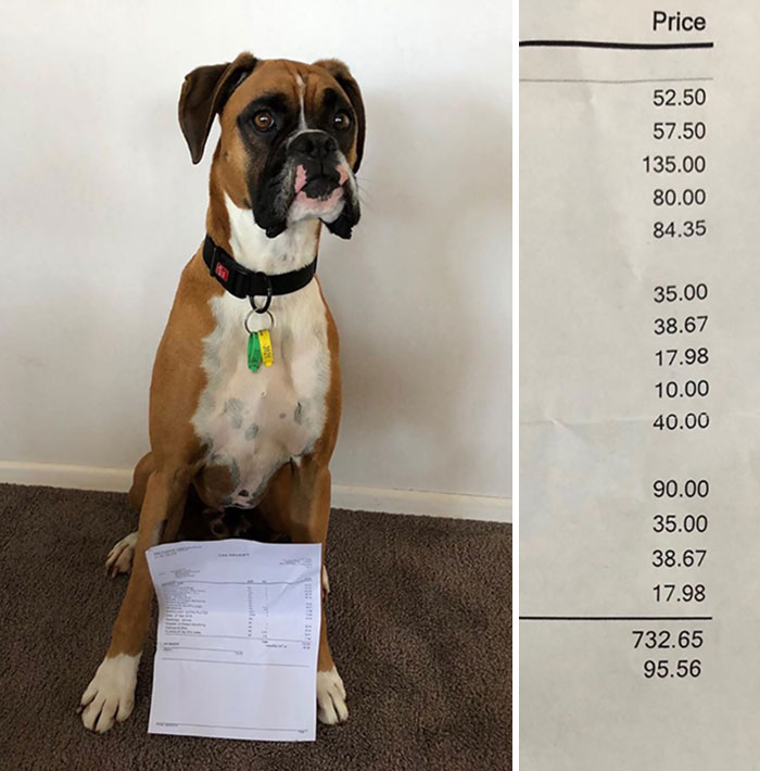 Expensive Meal, I Should Really Learn To Chew My Food. Don't Swallow Manderins And Lemons Whole