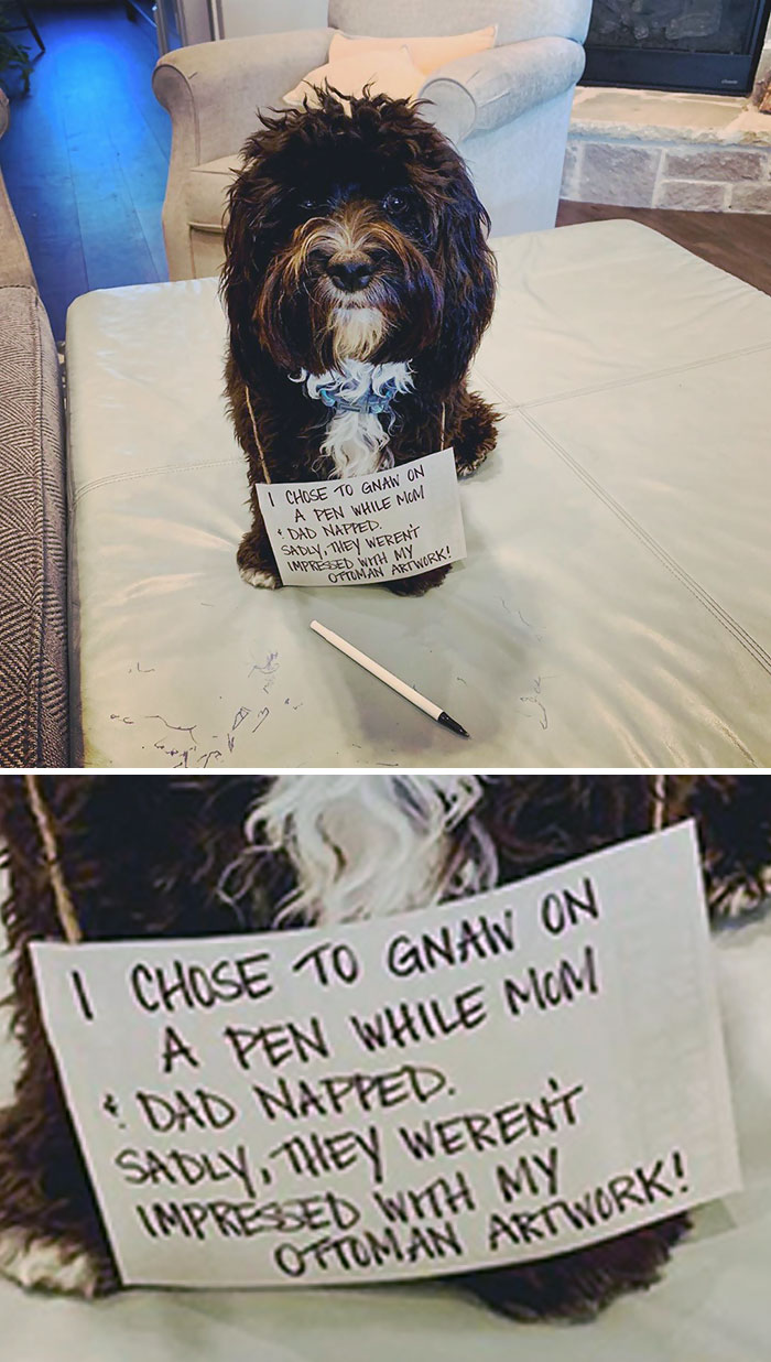 Unfortunately, They Have No Appreciation For Art