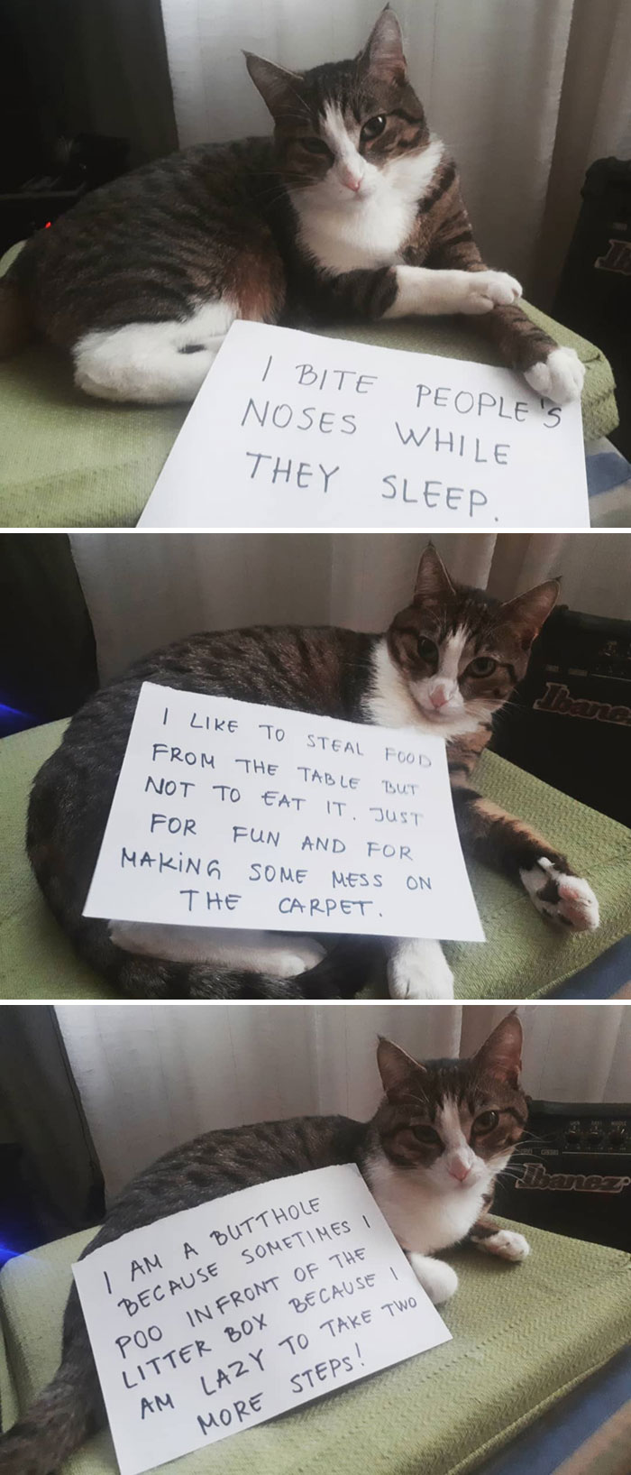 Now That We Are 24/7 Together, I Thought It Was Time To Public Shame This Girl For Everything She Does In Front Of My Eyes