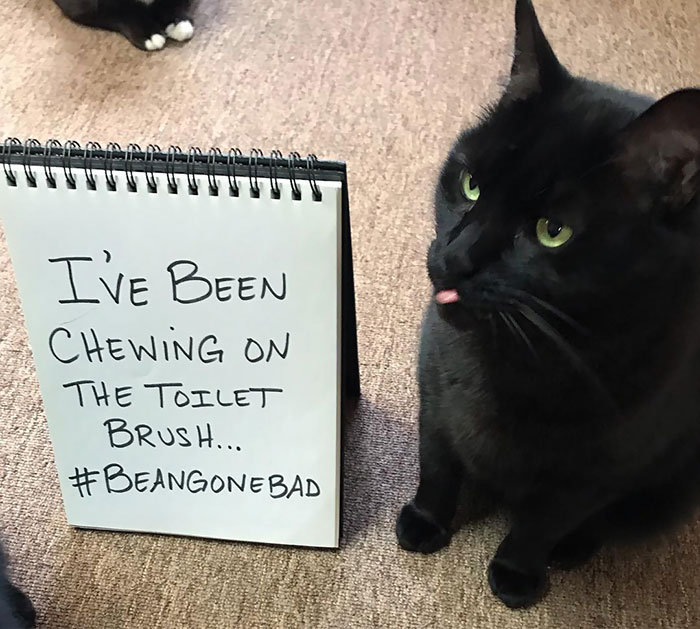 I’m Pretty Sure It’s A Delicacy Somewhere