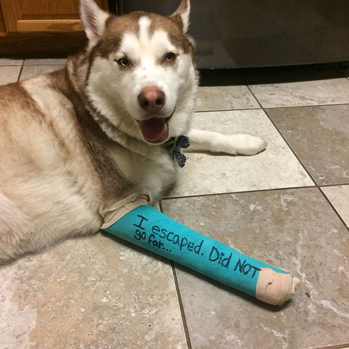 Unfortunately, Things Don't Always Go According To Plan