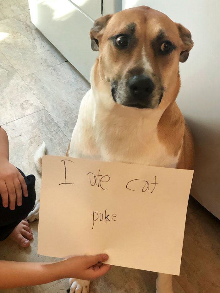 Someone Had To Clean It Up