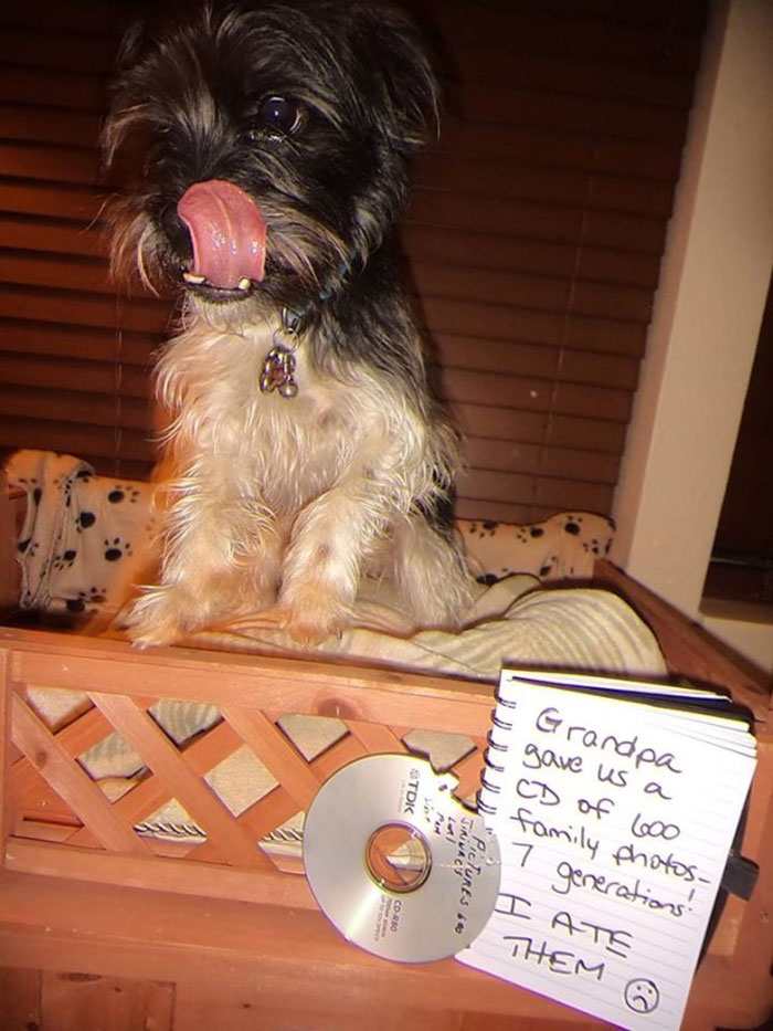 You Don’t Need Memories, You Have Me