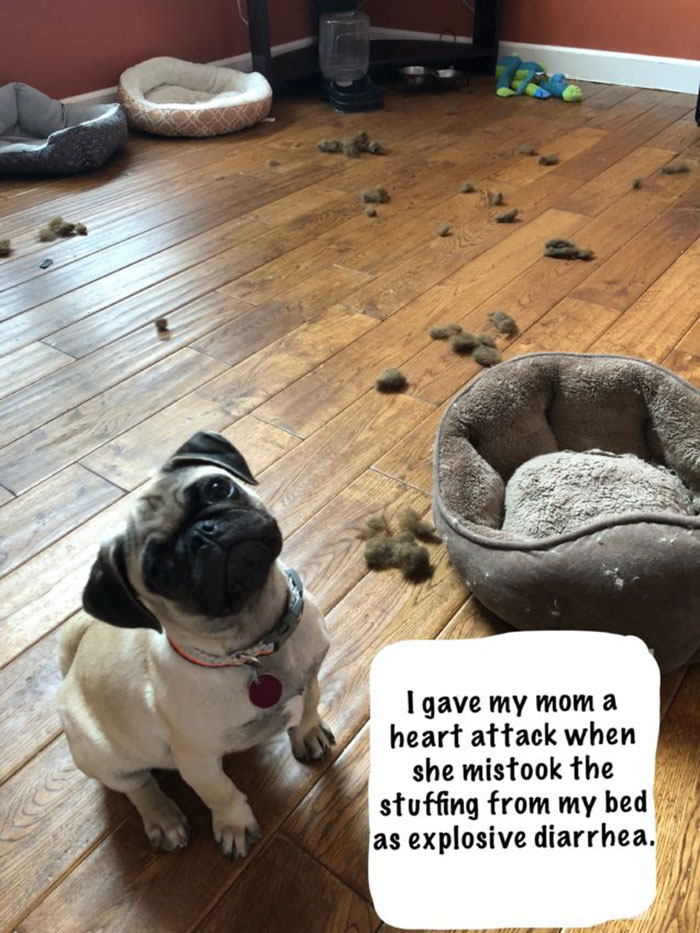 It’s Not What It Looks Like